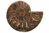 Cut & Polished, Agatized Ammonite Fossil - Madagascar #208603-3